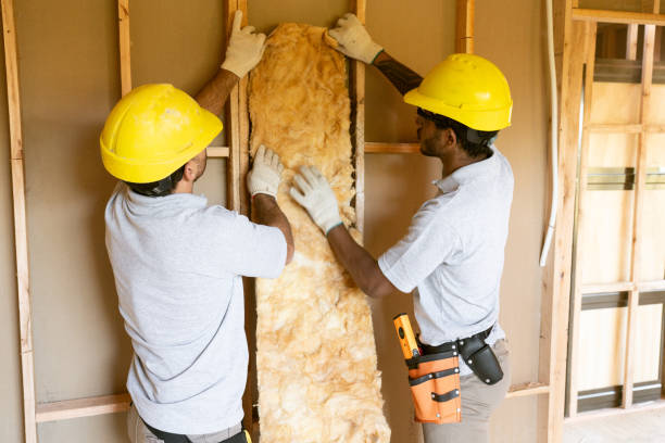 Best Crawl Space Insulation  in Ragland, AL